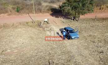 Imagem 3: Chácara 2,65 alqueires (12,83 hectares) Palmeiras De Goiás - Go