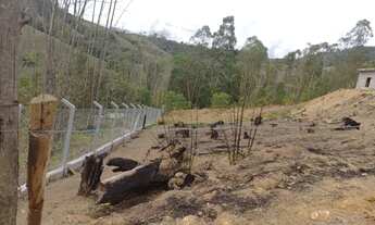 Imagem 3: Terreno 1600mt com luz