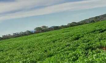 Imagem: Fazenda 208 Algueires em Colinas/GO