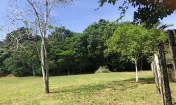 Imagem 2: Sítio 50 x 120 na Manuel Urbano 230.000,00