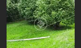 Imagem 6: REF: Office1099 Fazenda em Nerópolis/Ouro verde com 5,6 Alqueires, Goiás. codigo: 23029