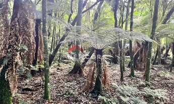 Imagem 7: Lote em Rua 21 - Alpes - São Francisco de Paula/RS