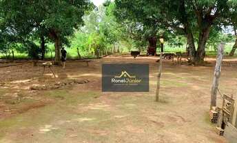 Imagem 2: Fazenda à venda por R$ 1.400.000 - 20 Km de Taquarussu - Palmas/TO