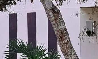 Imagem 5: Chácara disponível para venda, em Coração de Maria