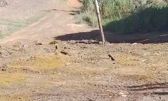 Imagem 4: Terreno escriturado 300 M²