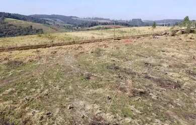 Imagem 3: Ar puro, água por perto e muito verde: só em Ibiúna!