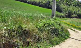 Imagem 7: Imóvel para venda com 100000 metros quadrados em São Caetano - Balsa Nova - PR