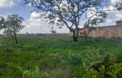 Imagem: Lote em frente barreira policial Aragoiania