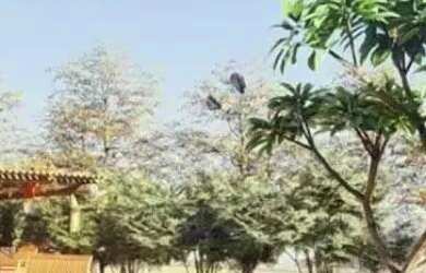 Imagem 4: Terreno à venda, 616 m² por R$ 1.920.000,00 - Jardins Itália - Goiânia/GO