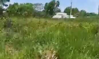 Imagem 3: Lotes R$ 10 mil entrada Guarapari, parcelamento direto proprietário em boleto, escriturado