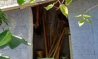 Imagem 5: Casa com 4 dormitórios à venda, 168 m² por R$ 690.000,00 - Jardim Europa - Campo Limpo Pau