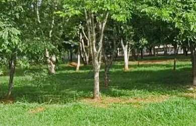 Imagem 3: Lote à venda possui 5000 m² em Sítio de Recreio Paraíso Tropical - Goiânia - GO