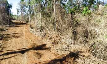 Imagem 5: *ULTIMAS UNIDADES DE LOTES COM ACESSO A NATUREZA PRESERVADA