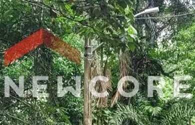 Imagem 2: Lote em Rua das Guajuviras - Park Imperial - Caraguatatuba/SP