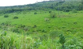 Imagem 6: Fazenda 85 alqueires abel figueiredo pará