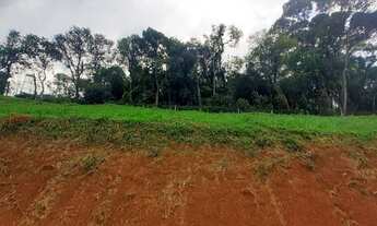 Imagem 3: Terreno à Venda - Primavera