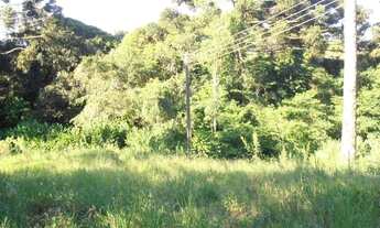 Imagem 2: Terreno para Venda em Quatro Barras, Jardim Orestes Thá