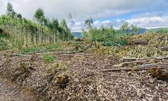 Imagem 6: Cidade turística