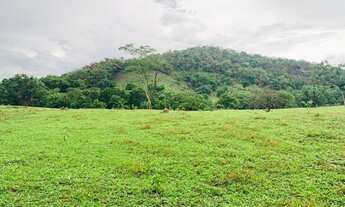 Imagem 8: Fazenda na Agrovila das Palmeiras 630 Hectares