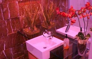 Imagem 7: São Paulo - Apartamento Padrão - HIGIENÓPOLIS