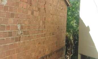 Imagem 4: Terreno com casa em Aliança-Pe