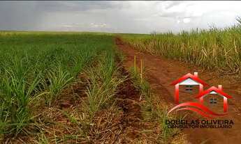 Imagem 6: Sítio 13 Alqueires Região De Igarapava/SP