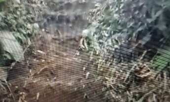 Imagem 6: Terreno 9000 m2 Terreno / lote com venda por R$550.000