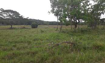 Imagem 4: Compre sua Fazendinha Rural na divisa de Cordisburgo e Paraopeba !! Ótimas oportunidades