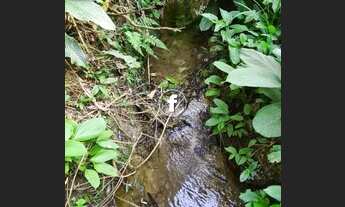 Imagem 7: SãO PEDRO DE ALCâNTARA - Terreno Padrão - Invernada