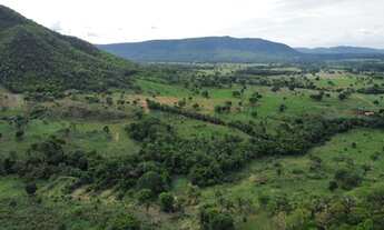Imagem 16: Fazenda na Agrovila das Palmeiras 630 Hectares