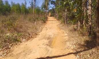 Imagem 3: Vendo chácara preço de oportunidade