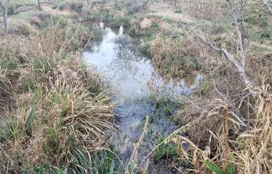 Imagem 7: Sítio em Ouro Fino - MG 20.000 m²