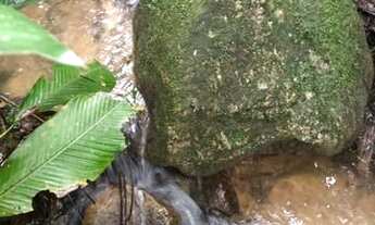 Imagem 5: Terreno de 319.000 m² em Área Rural de Biguaçu