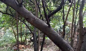 Imagem 2: Casa com terreno