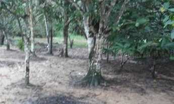 Imagem 5: Vendo casa em Itacoatiara