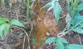 Imagem 4: CHÁCRINHA ROSA Chácara com venda por R$155.000