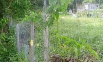 Imagem 5: Terreno de 1.086 m² em Jurerê