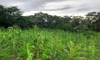 Imagem 7: Lindo baixadão de 20 mil metros (Temos varias opções)