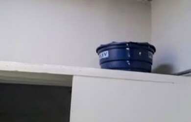 Imagem 7: GALPÃO - CARRÃO - SP