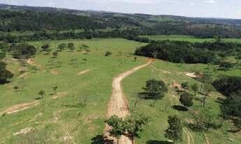 Imagem 6: Fazendinha com o Rio Pará passando ao fundo 20000 metros quadrados em São Gonçalo do Pará
