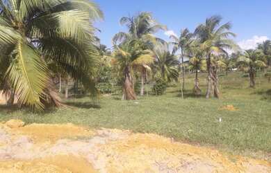 Imagem 2: Terreno Terreno / lote com venda por R$25