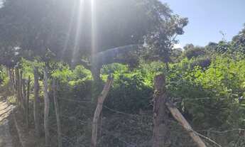 Imagem 2: Terreno. Em Martins RN