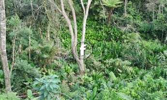 Imagem 6: SãO PEDRO DE ALCâNTARA - Terreno Padrão - Invernada