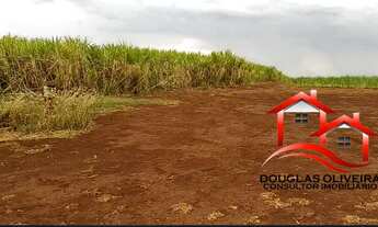 Imagem 2: Sítio 13 Alqueires Região De Igarapava/SP