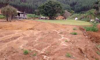 Imagem 4: FAZENDA BI-CENTENÁRIA!!! MUITO BARATO!!! OPORTUNIDADE !!!