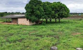 Imagem 6: Vendo sítio de 42 alqueires