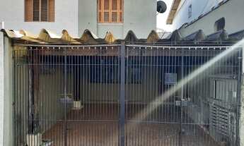 Imagem: São Paulo - Casa Padrão - Jardim Alvorada