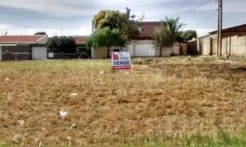 Imagem 5: Venda de Terreno / Padrão na cidade de Araraquara