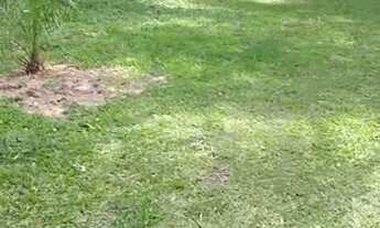 Imagem 2: Vendo ou troco chácara, rica em água!