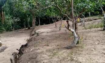 Imagem 5: Sítio na comunidade Livramento